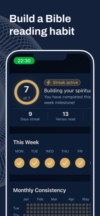 Bible reading streak tracker with 9-day streak, verses read and monthly consistency heatmap
